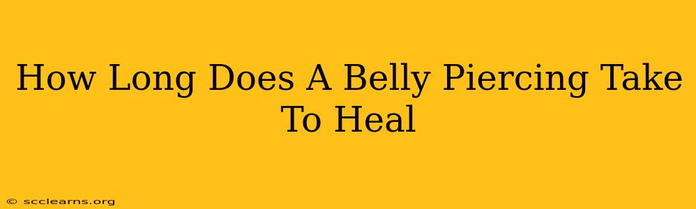 How Long Does A Belly Piercing Take To Heal