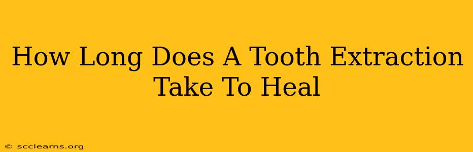 How Long Does A Tooth Extraction Take To Heal