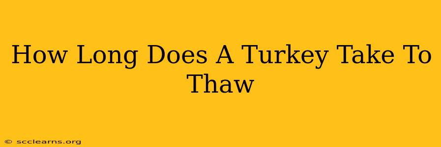 How Long Does A Turkey Take To Thaw