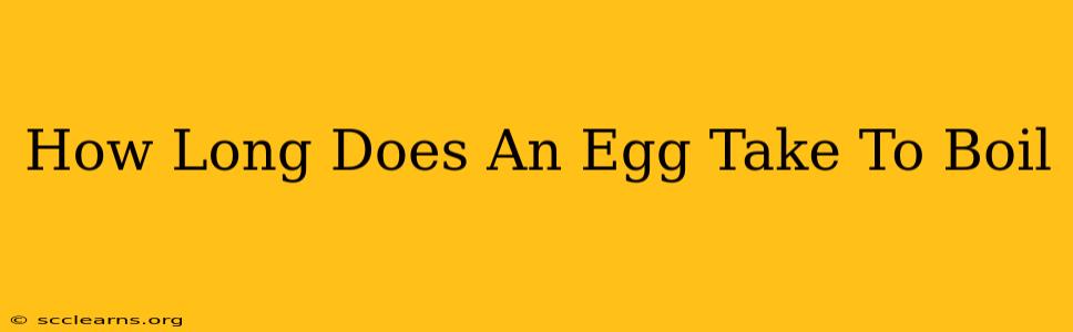 How Long Does An Egg Take To Boil