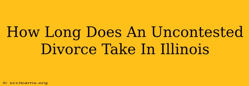 How Long Does An Uncontested Divorce Take In Illinois