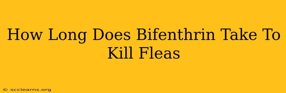 How Long Does Bifenthrin Take To Kill Fleas