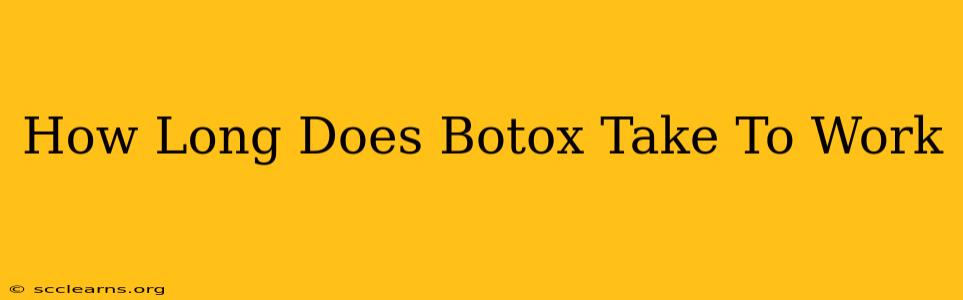 How Long Does Botox Take To Work