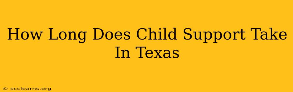 How Long Does Child Support Take In Texas