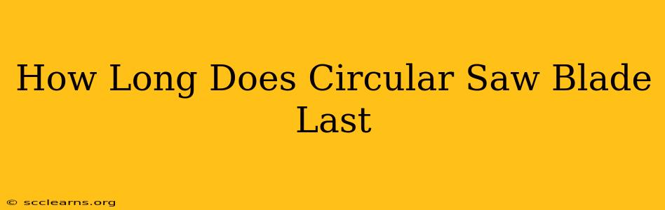 How Long Does Circular Saw Blade Last