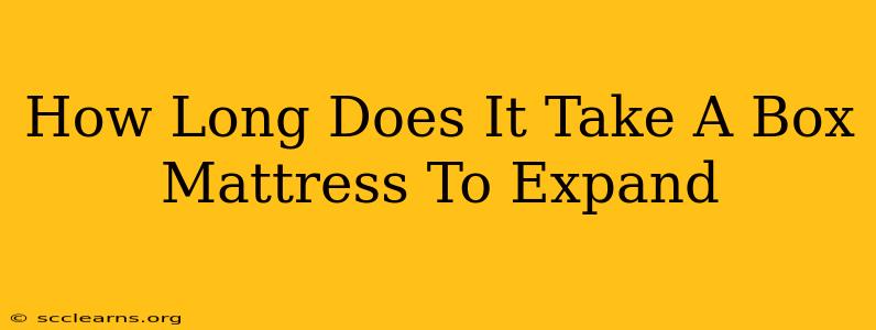 How Long Does It Take A Box Mattress To Expand