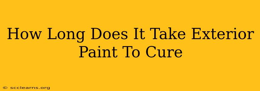 How Long Does It Take Exterior Paint To Cure