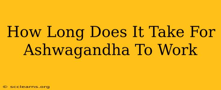 How Long Does It Take For Ashwagandha To Work