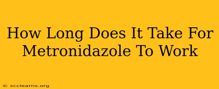 How Long Does It Take For Metronidazole To Work