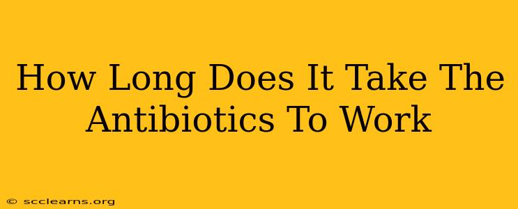 How Long Does It Take The Antibiotics To Work