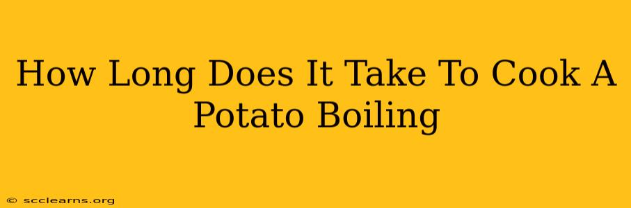 How Long Does It Take To Cook A Potato Boiling