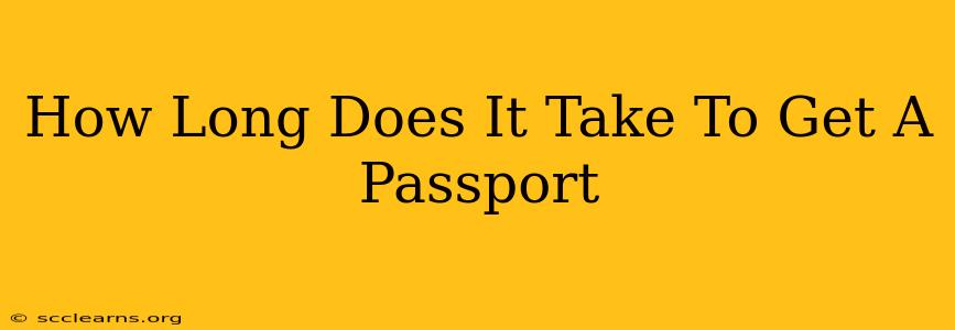 How Long Does It Take To Get A Passport