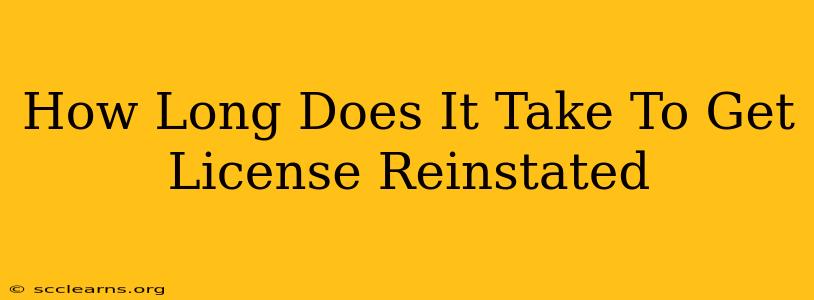 How Long Does It Take To Get License Reinstated