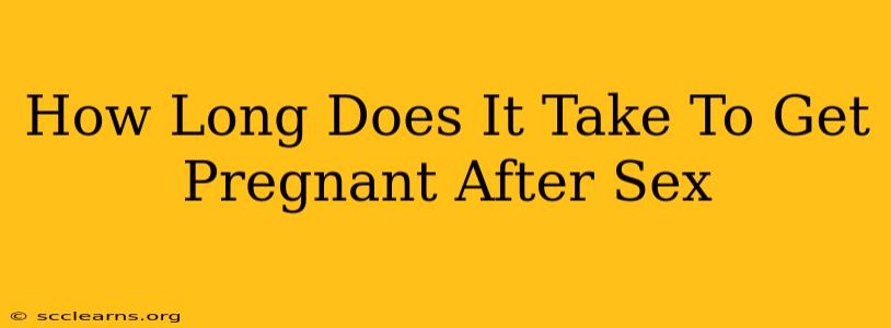 How Long Does It Take To Get Pregnant After Sex