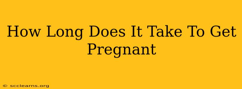 How Long Does It Take To Get Pregnant