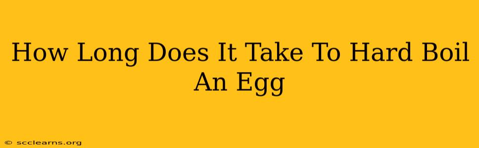 How Long Does It Take To Hard Boil An Egg