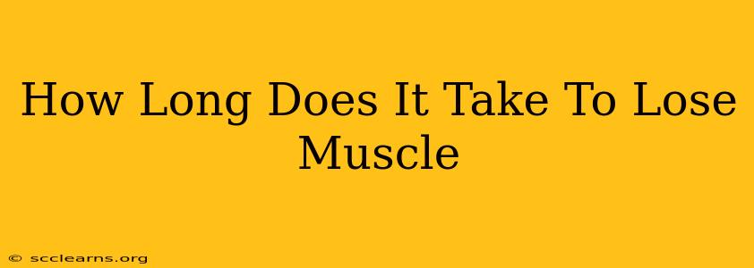 How Long Does It Take To Lose Muscle