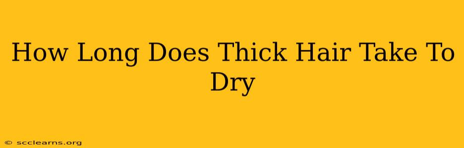 How Long Does Thick Hair Take To Dry