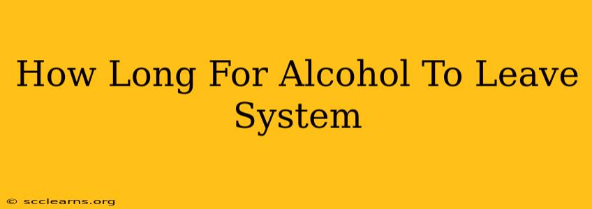 How Long For Alcohol To Leave System