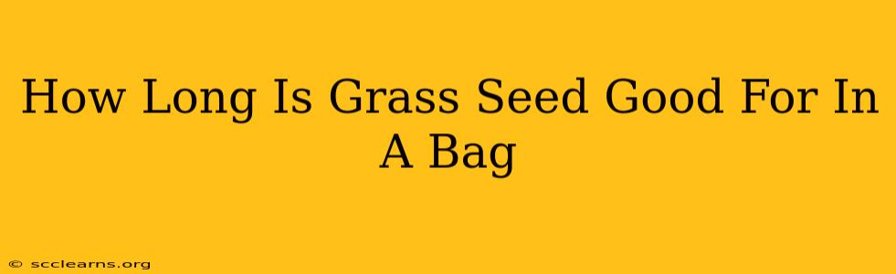 How Long Is Grass Seed Good For In A Bag