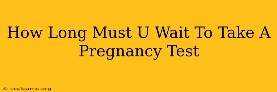 How Long Must U Wait To Take A Pregnancy Test