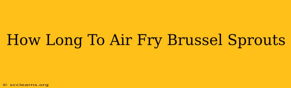 How Long To Air Fry Brussel Sprouts