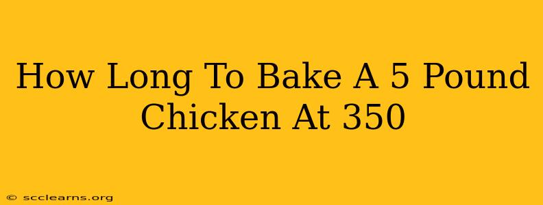 How Long To Bake A 5 Pound Chicken At 350