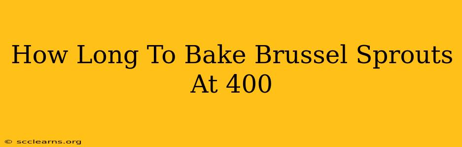 How Long To Bake Brussel Sprouts At 400