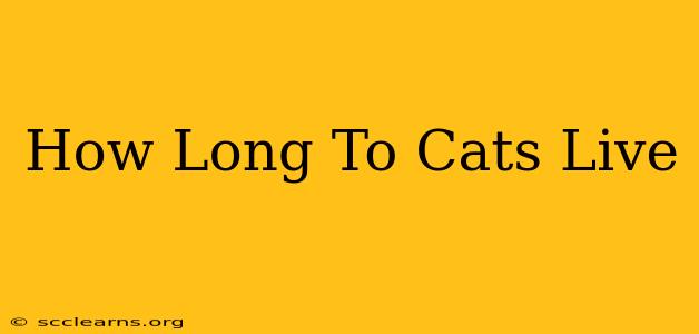 How Long To Cats Live