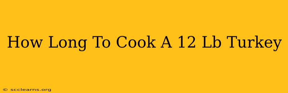 How Long To Cook A 12 Lb Turkey