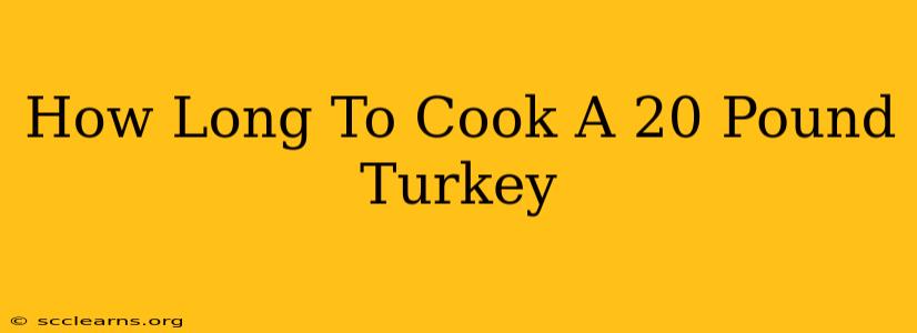 How Long To Cook A 20 Pound Turkey