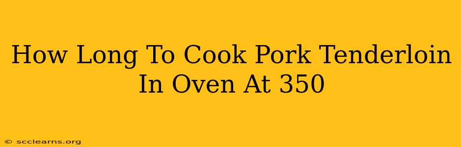 How Long To Cook Pork Tenderloin In Oven At 350