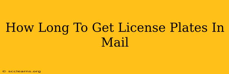 How Long To Get License Plates In Mail