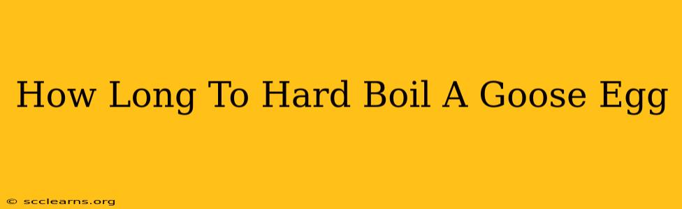 How Long To Hard Boil A Goose Egg