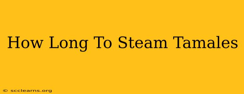 How Long To Steam Tamales