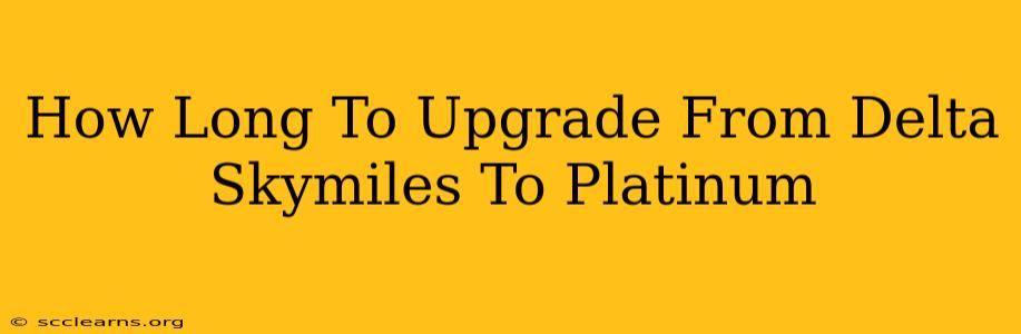 How Long To Upgrade From Delta Skymiles To Platinum