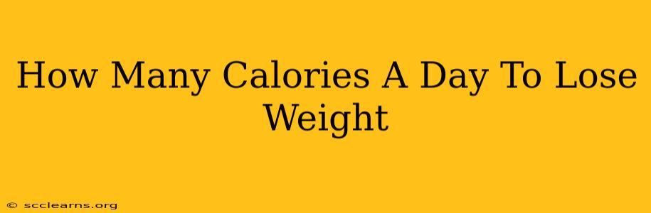 How Many Calories A Day To Lose Weight