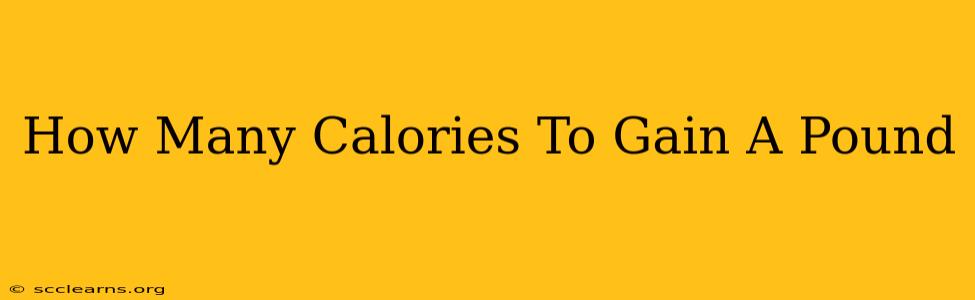 How Many Calories To Gain A Pound