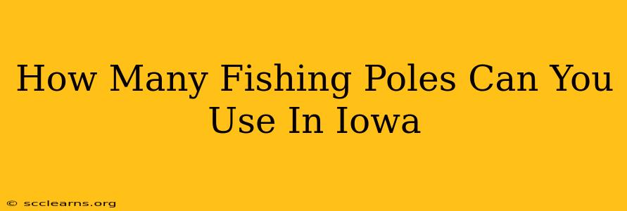 How Many Fishing Poles Can You Use In Iowa