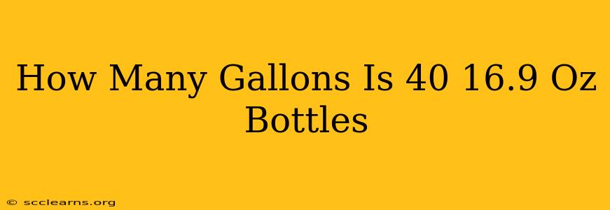 How Many Gallons Is 40 16.9 Oz Bottles