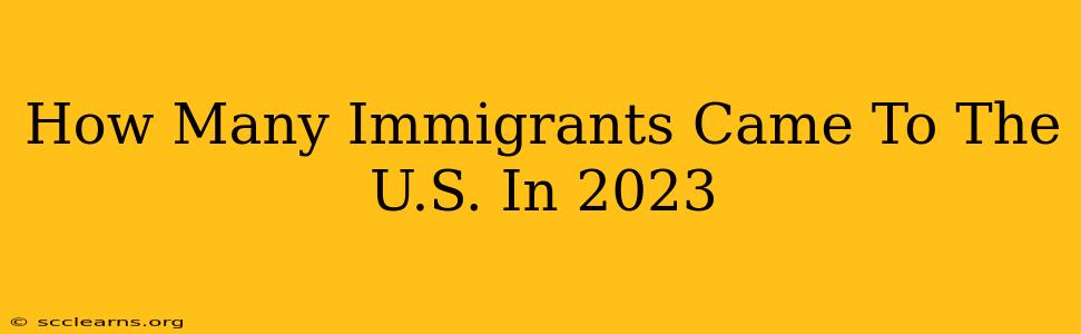 How Many Immigrants Came To The U.S. In 2023