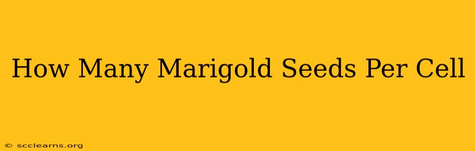 How Many Marigold Seeds Per Cell