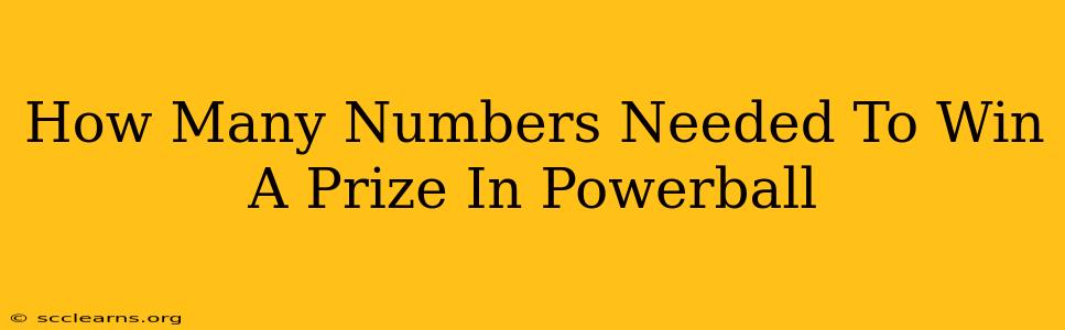 How Many Numbers Needed To Win A Prize In Powerball