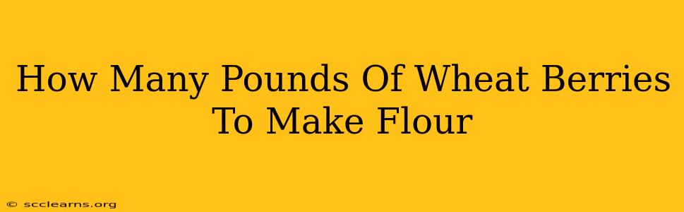 How Many Pounds Of Wheat Berries To Make Flour