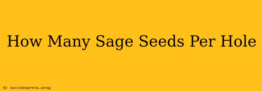 How Many Sage Seeds Per Hole