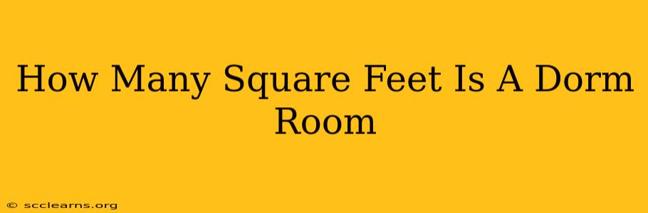 How Many Square Feet Is A Dorm Room