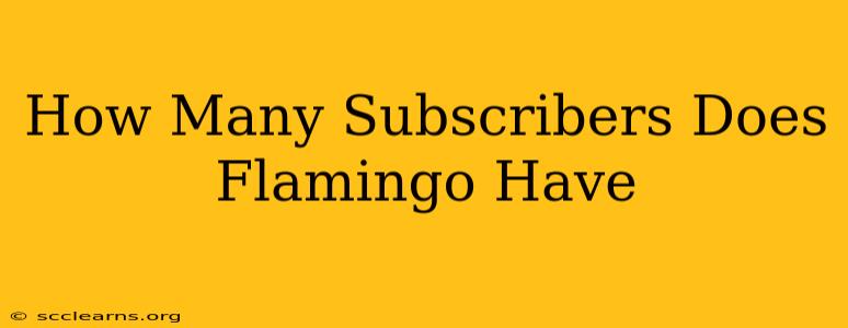 How Many Subscribers Does Flamingo Have