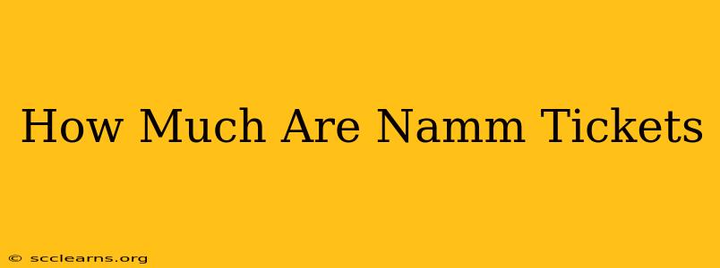 How Much Are Namm Tickets