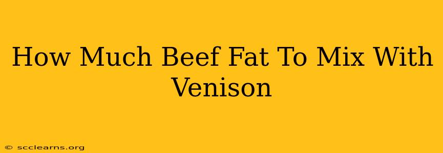 How Much Beef Fat To Mix With Venison