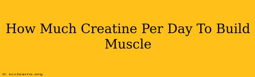 How Much Creatine Per Day To Build Muscle